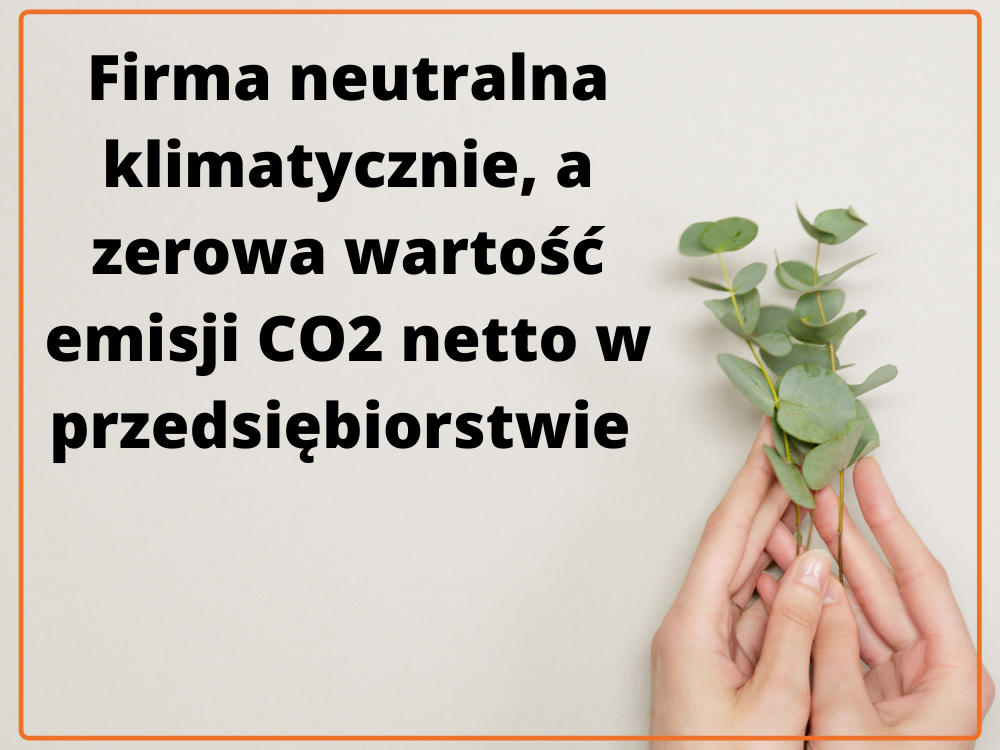 Firma neutralna klimatycznie, a zerowa wartość emisji CO2 netto.